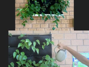 2023 green school app final (45)